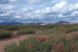 New Mexico, Luna County, Southwestern Homesites, 2.16 Acre Lot 37-38 Unit 1 Block 4. TERMS $119/Month