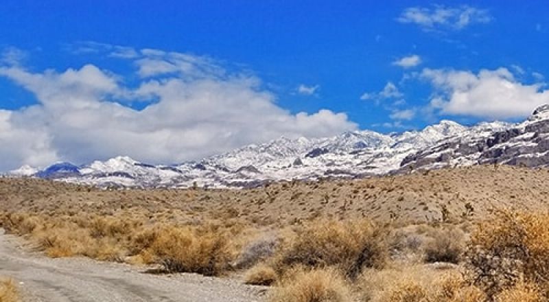 Nevada, Lander County, 40 Acres Battle Mountain, SW1/4 of the NE1/4 of section 31, T29N, R48EE (Crescent Valley). TERMS $598/Month