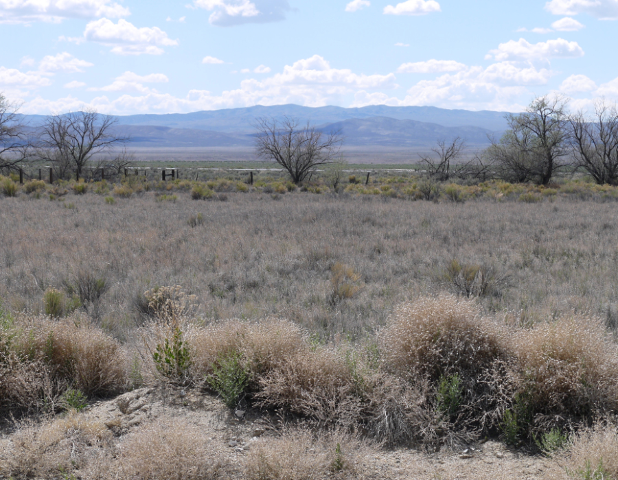 Nevada, Pershing County, 1.50 Acres Humboldt River Ranch Lot 40. (POWER) TERMS $203/Month