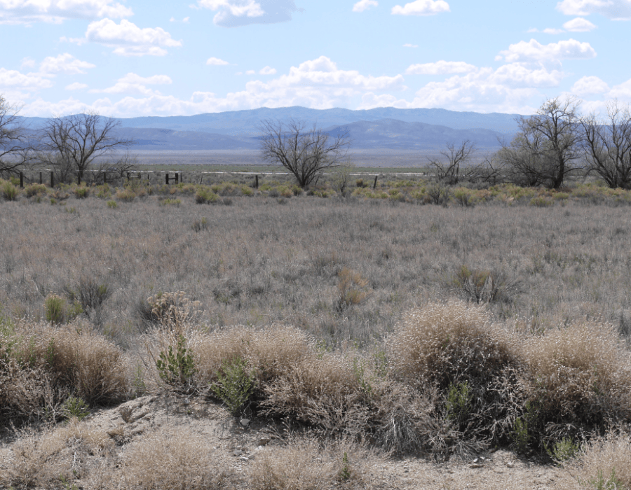Nevada, Pershing County, 2.13 Acres Humboldt River Ranch Lot 259. (POWER) TERMS $207/Month