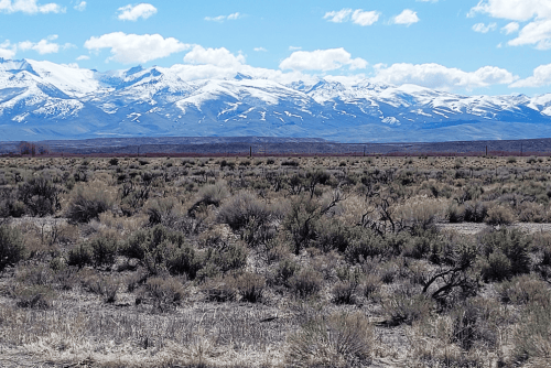 Nevada, Elko County, 1.07 Acres Humboldt Acres, Lot 2 Unit 1 Block D, Electricity . TERMS $253/Month