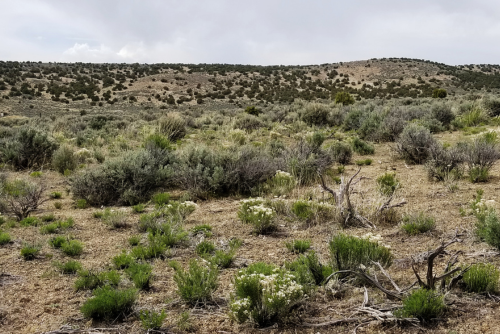 Nevada, Elko County, 2.27 Acres Last Chance Ranch, Lot 13 Unit 1 Block B. TERMS $185/Month
