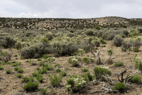 Nevada, Elko County, 2.27 Acres Last Chance Ranch, Lot 13 Unit 1 Block B. TERMS $185/Month