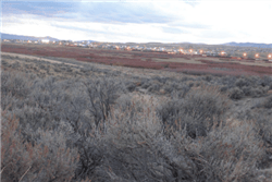 Aerial view of Nevada Elko County Last Chance Ranch, Unit 2, Block I, Lot 9 with visible land and electrical access in Elko County.