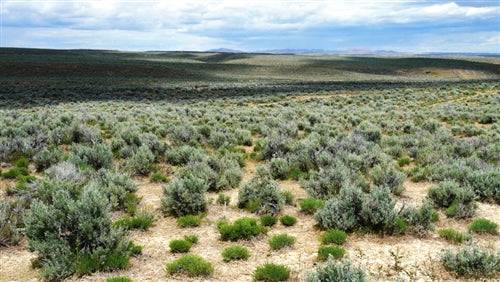 Nevada, Elko County, 2.06 Acres Meadow Valley Ranchos, Lot 5 Block 43 Unit 4. TERMS $91/Month