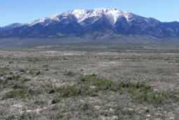 Nevada, Elko County, 40.02 Acres Mountain Meadow Ranches, Lot 973. TERMS $338/Month