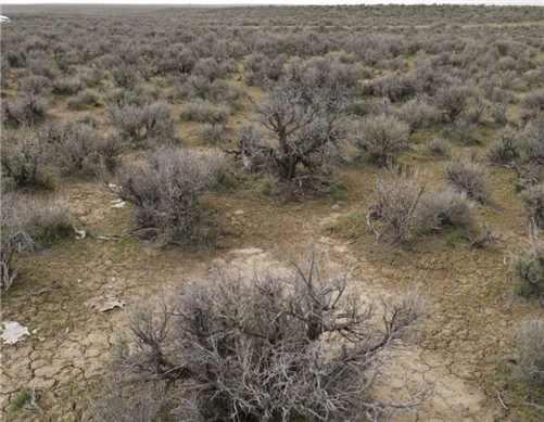Nevada, Elko County, 4.93 Acres Ruby View Ranchos, Lot 3 Block 4 Unit 3, Electricity. TERMS $232/Month