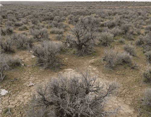 Aerial view of Nevada Elko County Ruby View Ranchos Lot 3 Block 4 Unit 3, showing open land and electric hookup in Elko County.