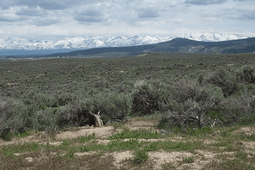 Nevada, Elko County, 2.27 Acres Twin River Ranchos, Lot 02 Unit 3 Block 07. TERMS $79/Month