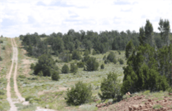 Nevada, Humboldt County, 9 Acres Near Battle Mountain, Lots 17&18 Section 25. TERMS $368/Month