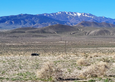 Nevada, Humboldt County, 41.32 Acres Near Battle Mountain, Lot 9 Section 31(At Jungo Road). TERMS $1422/Month