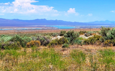 Nevada, Pershing County, 10.01 Acres Humboldt River Ranch Lot 34. TERMS $583/Month