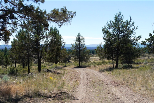 Oregon, Klamath County, 4.65 Acres Klamath Falls Forest Estates Lot 1 & 2 Block 102. TERMS $520/Month