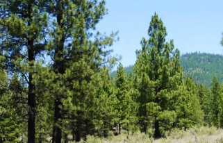 Aerial view of Oregon Klamath County 4.77-acre land parcel in Beatty, showing property boundaries and surrounding landscape.