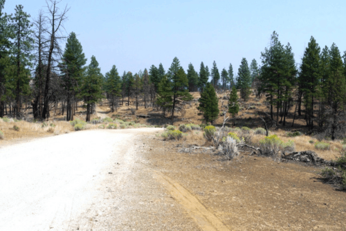 Oregon, Klamath County, 2.58 Acres Klamath Forest Estates Lot 69 Block 04. TERMS $217/Month