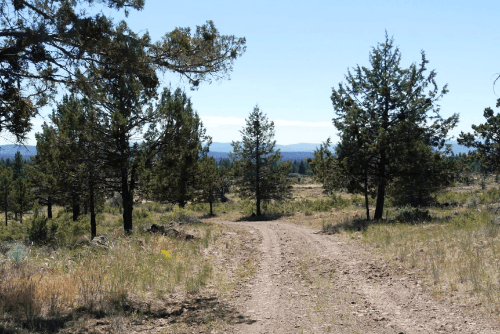 Oregon, Klamath County, 2.00 Acres Klamath Forest Lot 10, Electricity. TERMS $353/Month