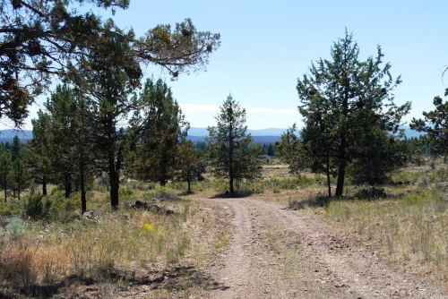 Oregon, Klamath County, 2.31 Acres Klamath Forest Estates Lot 63 Block 14 Unit 1. TERMS $356/Month