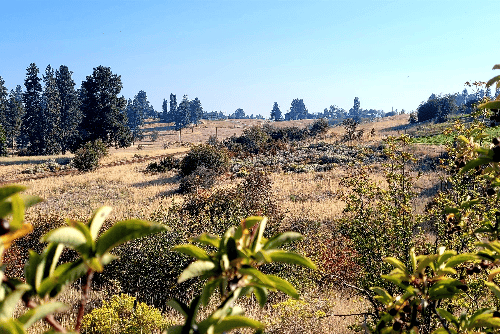Oregon, Klamath County, 0.54 Acres Oregon Shores Lot 9 Block 19 Unit 2, Electricity. TERMS $374/Month