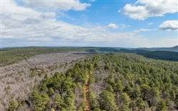 Oklahoma, Latimer County, 17.94 Acre Stone Bridge III, Lot 199. TERMS $489/Month