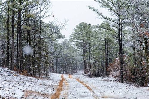 Oklahoma, Latimer County, 9.47 Acre Stone Bridge IV, Lot 298 TERMS $289/Month