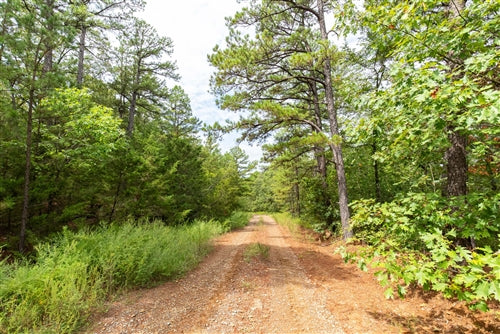 Oklahoma, Latimer County, 15.08 Acre Stone Bridge V, Lot 329 TERMS $364/Month