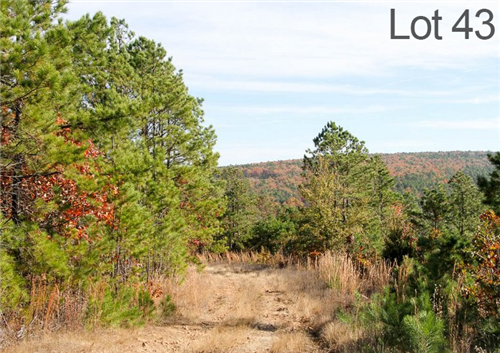 Oklahoma, Latimer County, 19.27 Acre Stone Creek Ranch, Lot 43, Creek. TERMS $325/Month