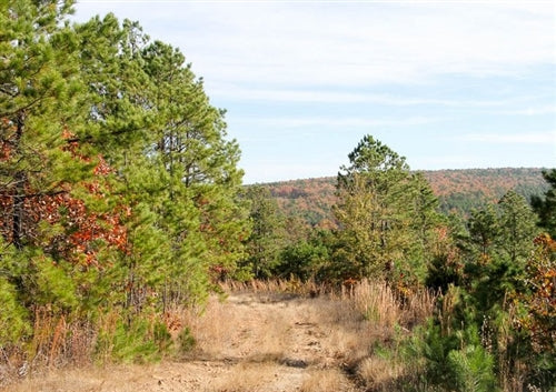 Oklahoma, Latimer County, 13.66 Acre Stone Creek Ranch, Lot 47. TERMS $275/Month