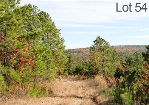 Oklahoma, Latimer County, 17.58 Acre Stone Creek Ranch, Lot 54, Creek. TERMS $360/Month