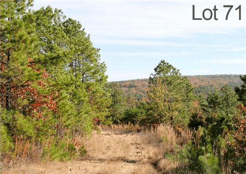 Oklahoma, Latimer County, 25.36 Acre Stone Creek Ranch, Lot 71. TERMS $430/Month