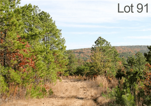 Oklahoma, Latimer County, 8.53 Acre Stone Creek Ranch, Lot 91. TERMS $230/Month