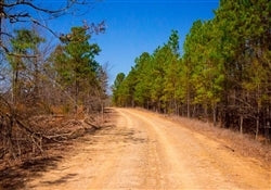 Oklahoma, Latimer County, 7.02 Acre Stone Creek Phase II, Lot 199, Stream. TERMS $264/Month