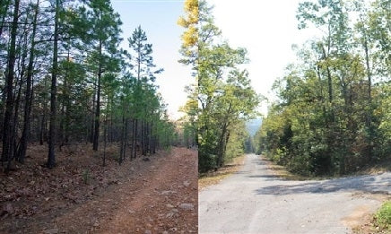 Oklahoma, Latimer County, 12.65 Acre Stone Bridge II, Lot 91. BUNDLED (with Resort Lot in Ozarks) TERMS TERMS $445/Month