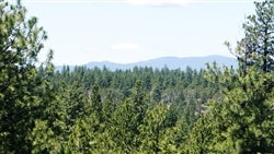 Oregon, Klamath County, 1.58 Acres Klamath Falls Forest Lot 20. TERMS $216/Month