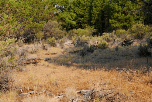 Oregon, Klamath County, 2.30 Acres Ferguson Mountain Pines Lot 20 Block 15. TERMS $145/Month