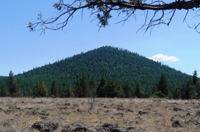 Oregon, Klamath County, 20 Acres Ferguson Mountain PinesN1/2 of SE1/4 of SE1/4 of Section 32, T35S, R13 E, Willamette Meridian. TERMS $398/Month