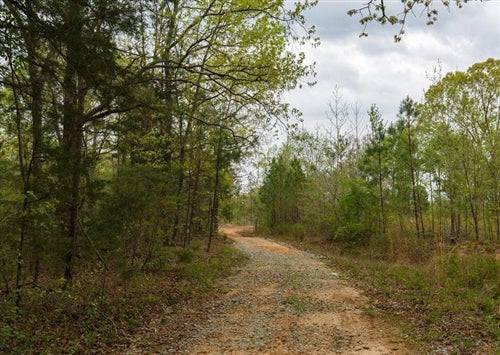 Tennessee, Henderson County, 5.47 Acres Twin Rivers, Lot 17, Stream. TERMS $334/Month