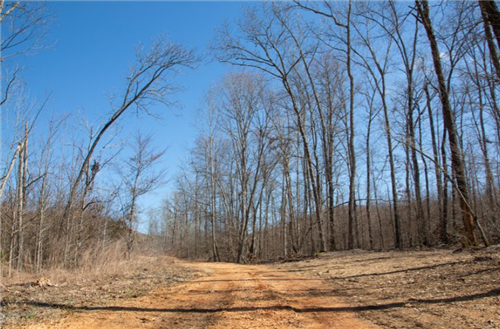 Tennessee, Perry County, 9.47 Acres Southwind Ranch, Lot 06. TERMS $719/Month