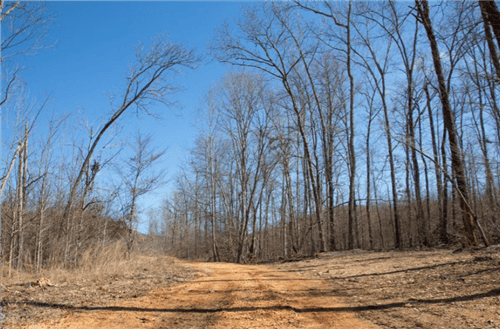 Tennessee, Perry County, 9.47 Acres Southwind Ranch, Lot 06. TERMS $719/Month