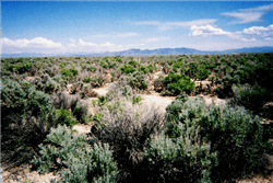 Utah, Iron County, 4.34 Acres Beryl Townsite Lot 393 & 408 (2 Adjoining Lots). TERMS $207/Month
