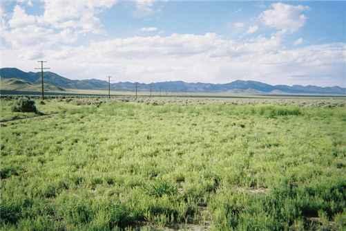 Iron County Utah 1.10-acre Garden Valley Ranchos land parcel, scenic outdoor view, available for purchase or financing.