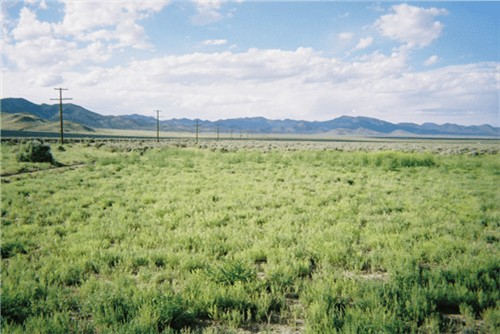 Utah, Iron County, 2.17 Acres Garden Valley Ranchos Lot 393 Unit 1 . TERMS $124/Month