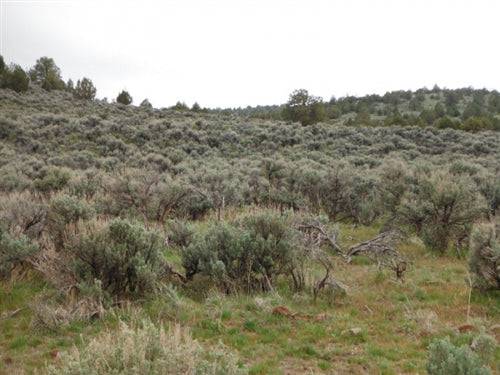 California, Lassen County, 20.56 Acres Moon Valley Ranch. TERMS $210/Month