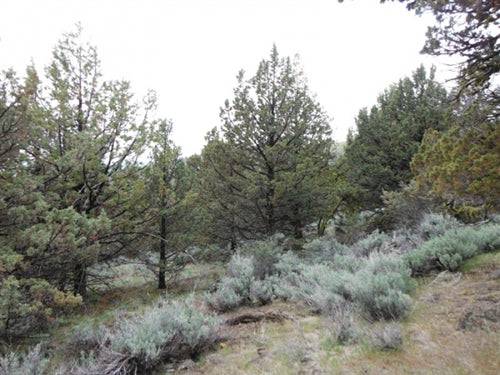 California, Lassen County, 21 Acres Moon Valley Ranch. TERMS $200/Month