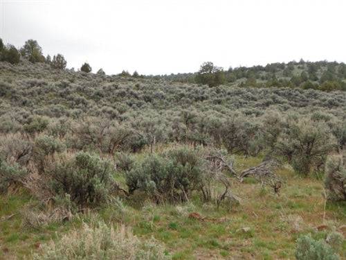 California, Lassen County, 20 Acres Moon Valley Ranch. TERMS $220/Month