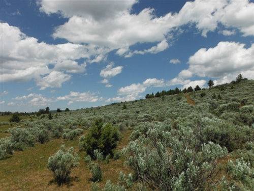 California, Lassen County, 20 Acres Moon Valley Ranch. TERMS $220/Month