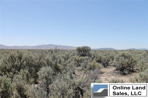 California, Lassen County, 40 Acres Ravendale Ranch. TERMS $310/Month
