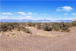 Colorado, Alamosa County, 10 Acres Near Blanca SE4 NW4 NW4 10-38-12. Terms $101/Month