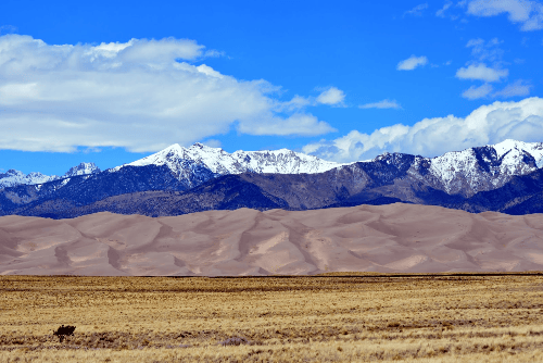 Colorado, Alamosa County, 5.00 Acres Mount Blanca Estates, Lot 19 Block 23 Unit 2. TERMS $86/Month