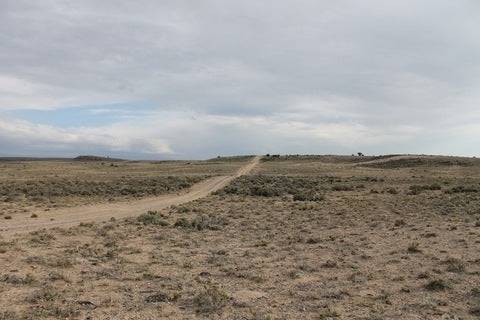 Colorado, Costilla County, Acre Rio Grande Ranchos. TERMS $100/Month