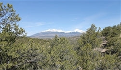 Colorado, Alamosa County, 5.18 Acres Sangre De Cristo Ranches. TERMS $241/Month